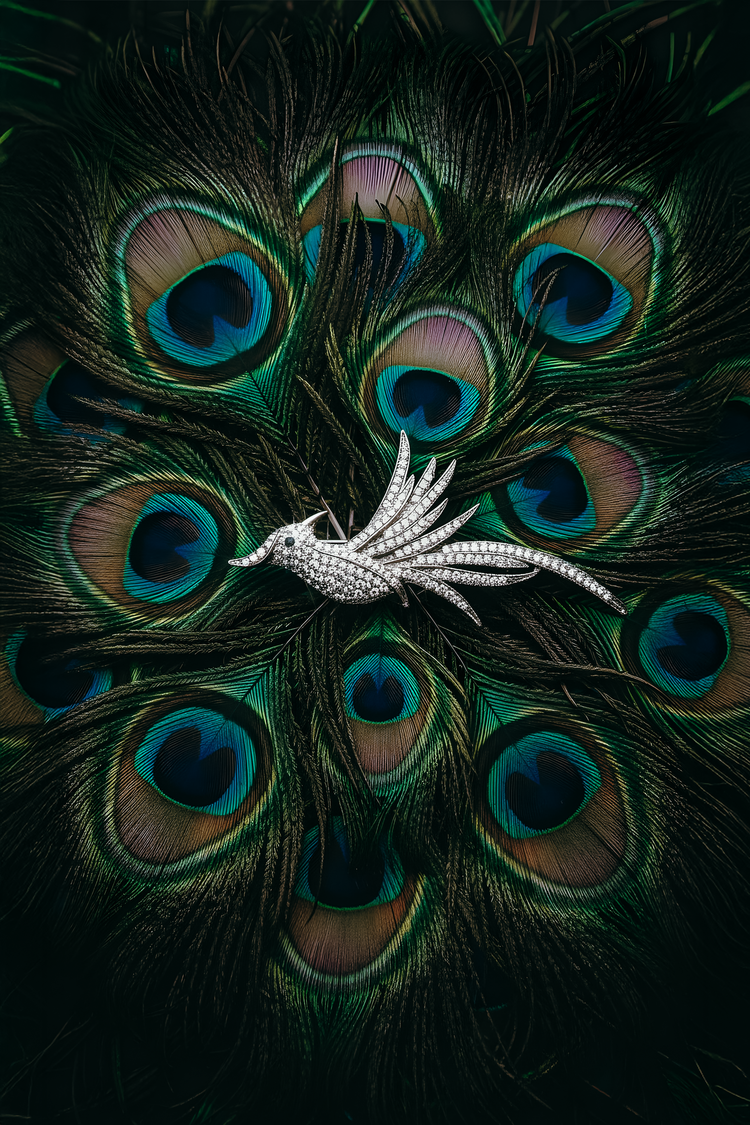 Peacock Brooch